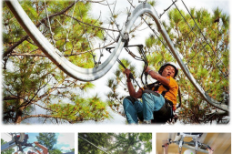 碰碰车测验赢麻了领克 08EM-P不愧是五星安全车！